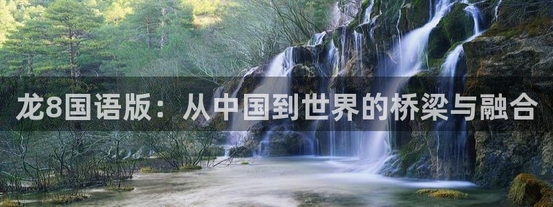 辉达娱乐：龙8国语版：从中国到世界的桥梁与融合
