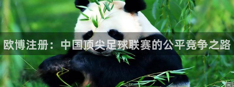 辉达娱乐加拿大官网：欧博注册：中国顶尖足球联赛的公平竞争之路