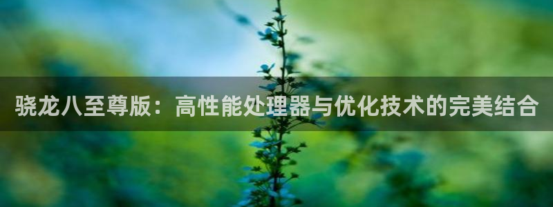 辉达娱乐集团官网：骁龙八至尊版：高性能处理器与优化技术的完美结合