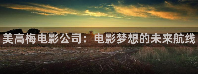 辉达娱乐体育app下载：美高梅电影公司：电影梦想的未来航线