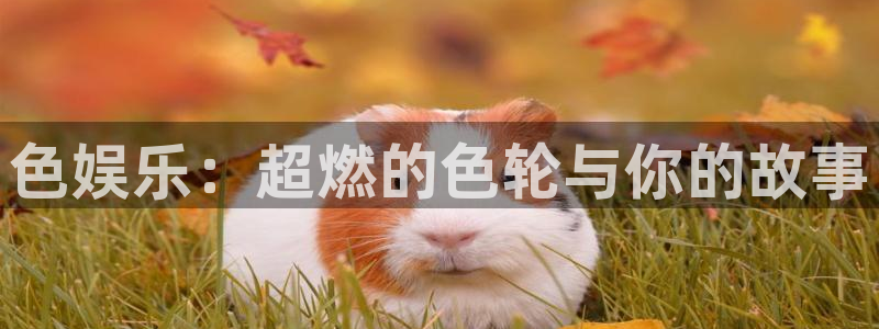 辉达娱乐app：色娱乐：超燃的色轮与你的故事