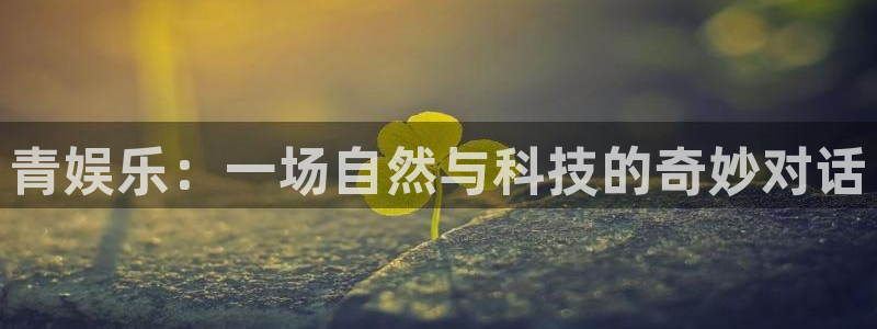 上海辉达娱乐汽车电子有限公司：青娱乐：一场自然与科技的奇妙对话