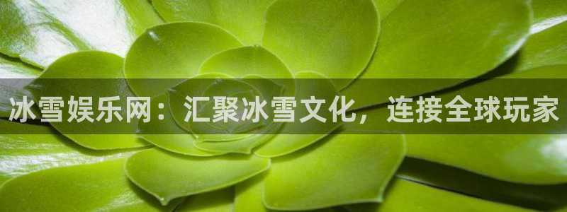 辉达娱乐凯捷平台：冰雪娱乐网：汇聚冰雪文化，连接全球玩家