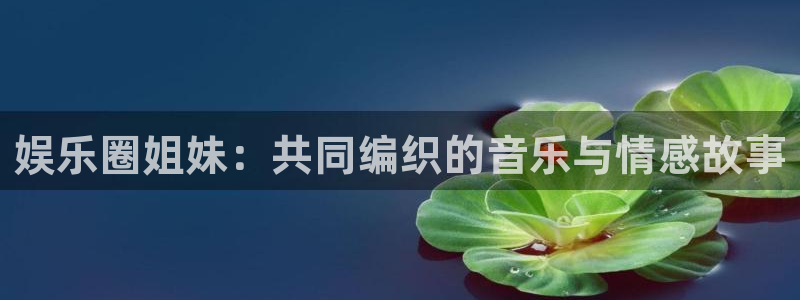 辉达娱乐vk：娱乐圈姐妹：共同编织的音乐与情感故事