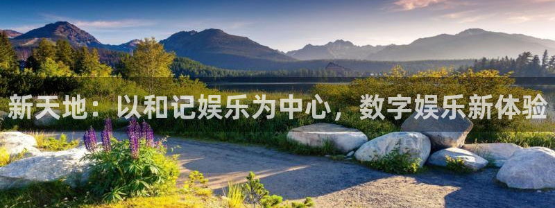 辉达娱乐平台总代理：新天地：以和记娱乐为中心，数字娱乐新体验