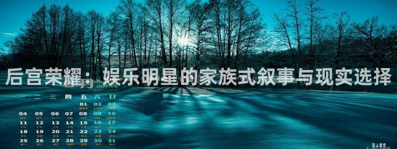 辉达娱乐app注册地址：后宫荣耀：娱乐明星的家族式叙事与现实选择