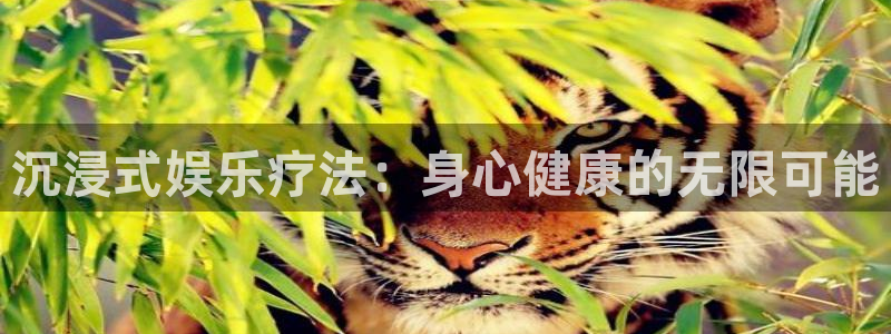 辉达娱乐平台招商：沉浸式娱乐疗法：身心健康的无限可能