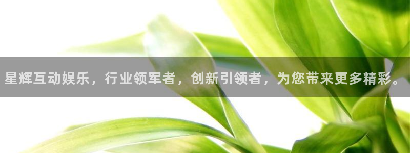 辉达娱乐注册链接入口：星辉互动娱乐，行业领军者，创新引领者，为您带来更多精彩。