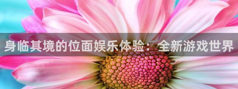 辉达娱乐登陆：身临其境的位面娱乐体验：全新游戏世界