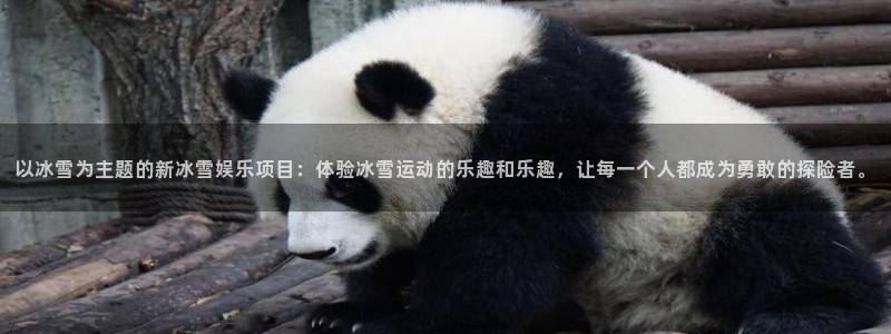 辉达娱乐下载入口：以冰雪为主题的新冰雪娱乐项目：体验冰雪运动的乐趣和乐趣，让每一个人都成为勇敢的探险者。
