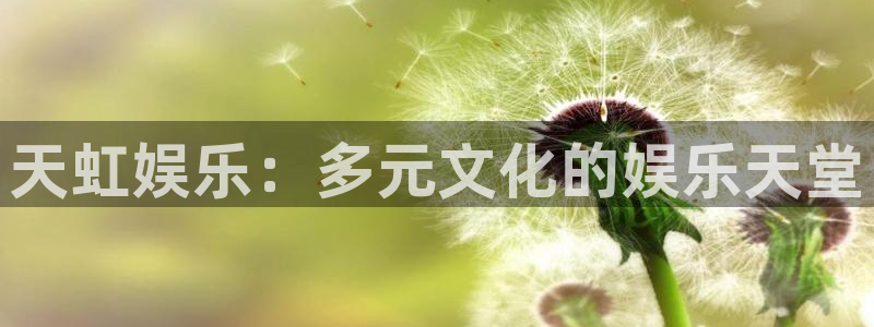 辉达娱乐预测在线预测：天虹娱乐：多元文化的娱乐天堂