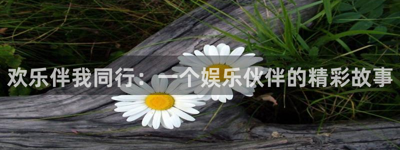 辉达娱乐官网入口：欢乐伴我同行：一个娱乐伙伴的精彩故事