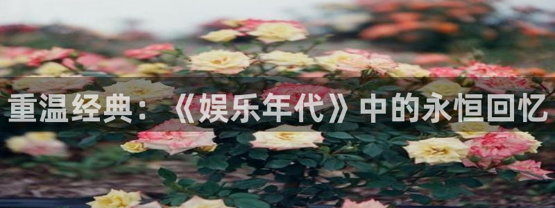 辉达娱乐官网入口：重温经典：《娱乐年代》中的永恒回忆