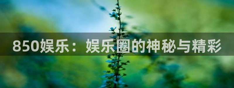 辉达娱乐3登录：850娱乐：娱乐圈的神秘与精彩