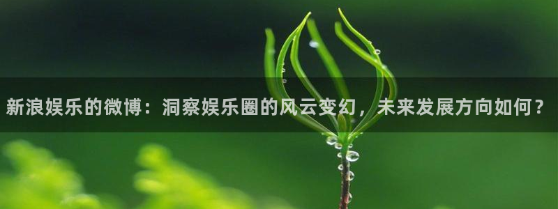 辉达娱乐加拿大app预测：新浪娱乐的微博：洞察娱乐圈的风云变幻，未来发展方向如何？