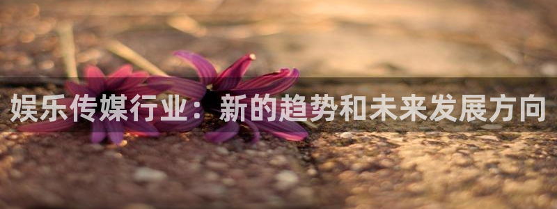 辉达娱乐代理：娱乐传媒行业：新的趋势和未来发展方向