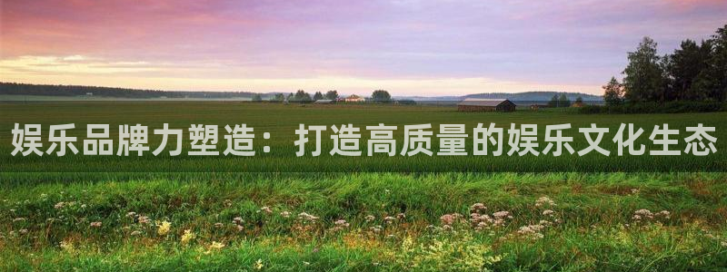 辉达娱乐app最新版：娱乐品牌力塑造：打造高质量的娱乐文化生态