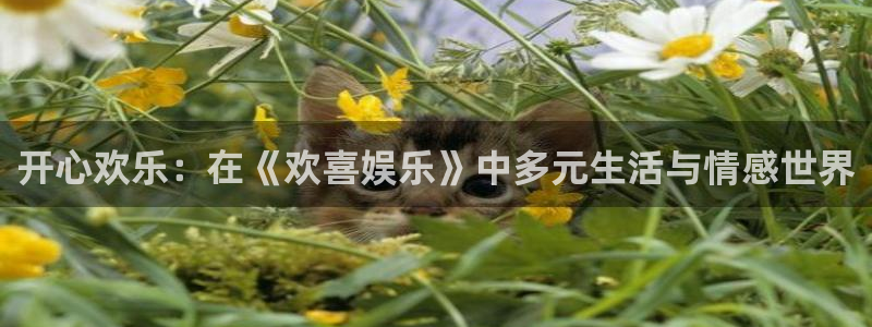 辉达娱乐电子游戏网页版：开心欢乐：在《欢喜娱乐》中多元生活与情感世界