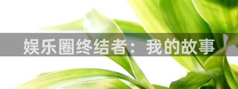 辉达娱乐2登录：娱乐圈终结者：我的故事