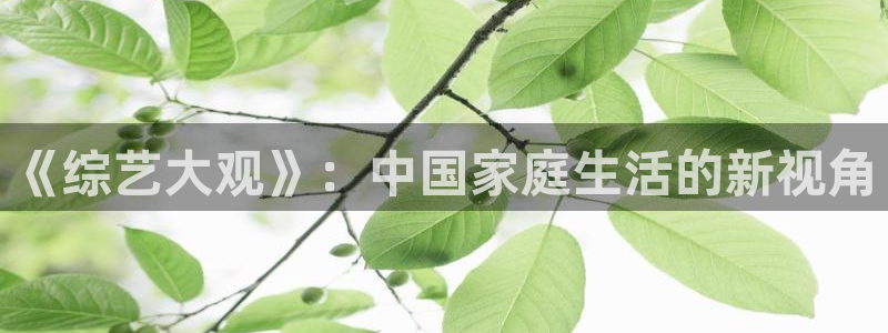 辉达娱乐体育用品：《综艺大观》：中国家庭生活的新视角