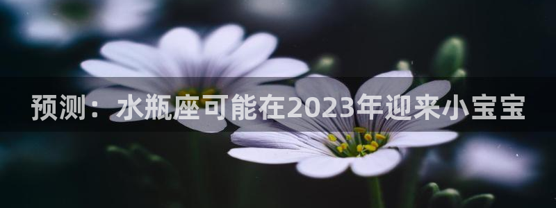 辉达娱乐招商：预测：水瓶座可能在2023年迎来小宝宝