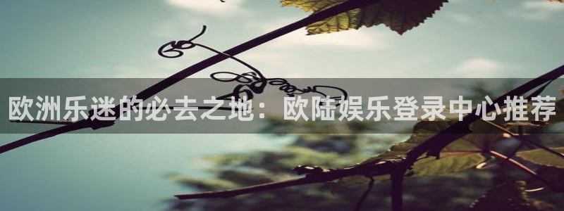 辉达娱乐路线1：欧洲乐迷的必去之地：欧陆娱乐登录中心推荐