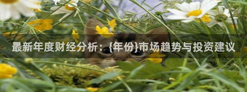 辉达娱乐账号注册：最新年度财经分析：{年份}市场趋势与投资建议