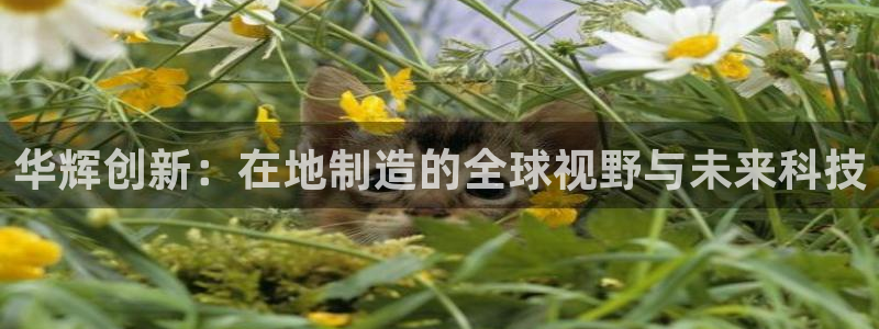 辉达娱乐放水时间：华辉创新：在地制造的全球视野与未来科技