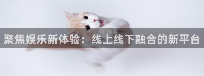 辉达娱乐网站登录流程：聚焦娱乐新体验：线上线下融合的新平台