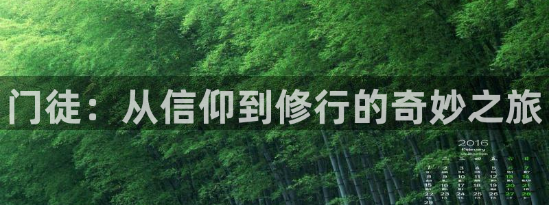 辉达娱乐3：门徒：从信仰到修行的奇妙之旅