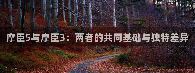 辉达娱乐加拿大官网：摩臣5与摩臣3：两者的共同基础与独特差异