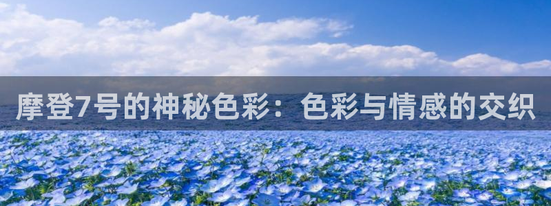 辉达娱乐是正规平台吗：摩登7号的神秘色彩：色彩与情感的交织