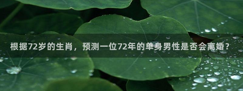 辉达娱乐是什么平台：根据72岁的生肖，预测一位72年的单身男性是否会离婚？