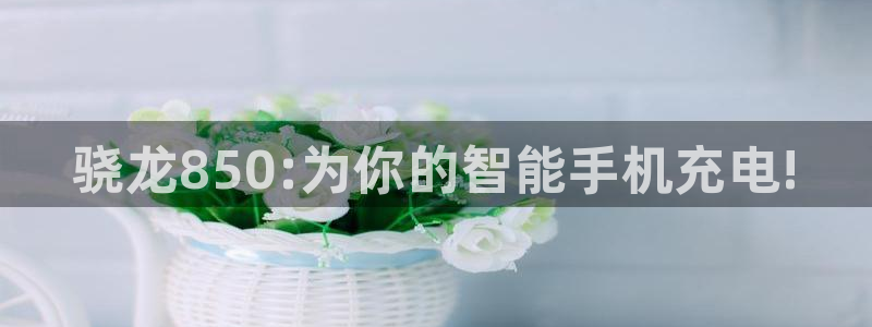 辉达娱乐.ccmpc正版官网版下载：骁龙850:为你的智能手机充电!