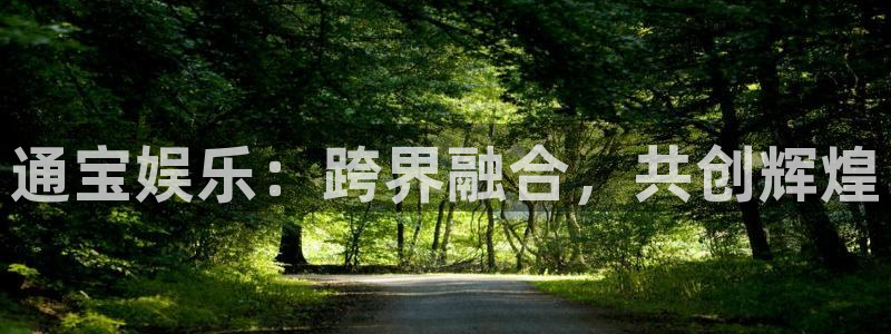 辉达娱乐4平台注册：通宝娱乐：跨界融合，共创辉煌