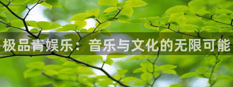 辉达娱乐4平台：极品青娱乐：音乐与文化的无限可能