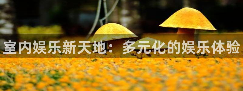 辉达娱乐体育3：室内娱乐新天地：多元化的娱乐体验