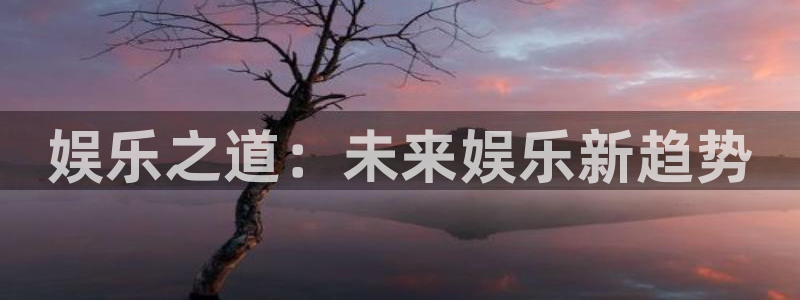 辉达娱乐体育2官网入口：娱乐之道：未来娱乐新趋势
