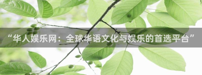 辉达娱乐平台官网入口：“华人娱乐网：全球华语文化与娱乐的首选平台”