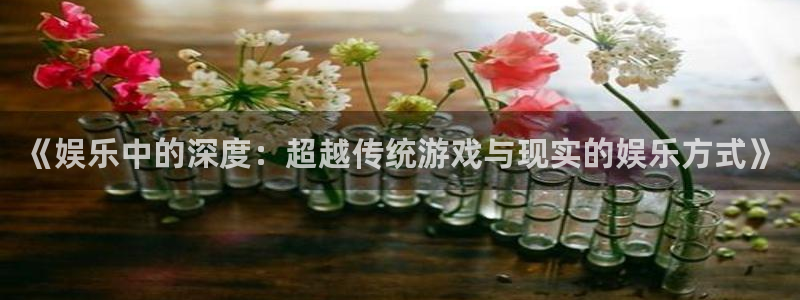 辉达娱乐登录：《娱乐中的深度：超越传统游戏与现实的娱乐方式》