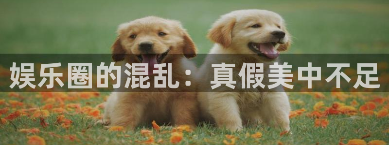 辉达娱乐app 是什么：娱乐圈的混乱：真假美中不足