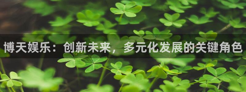 辉达娱乐集团