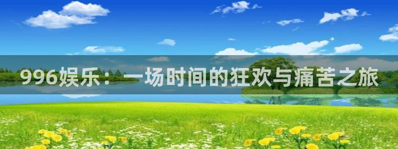 辉达娱乐平台官方入口：996娱乐：一场时间的狂欢与痛苦之旅