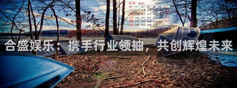 辉达娱乐集团股票：合盛娱乐：携手行业领袖，共创辉煌未来