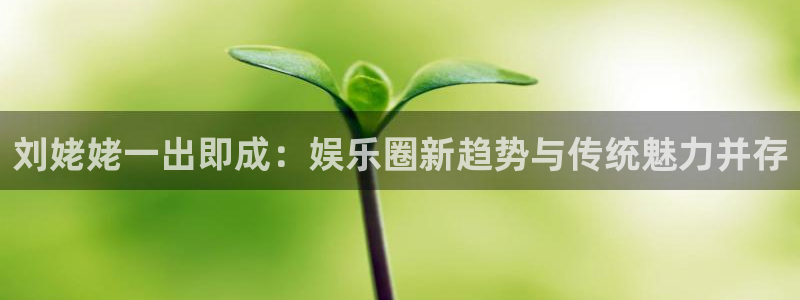 辉达娱乐官网：刘姥姥一出即成：娱乐圈新趋势与传统魅力并存