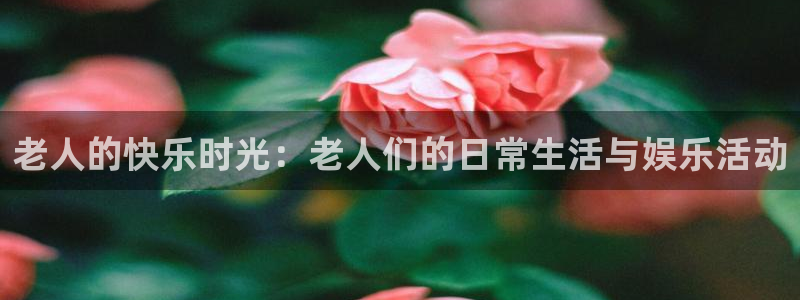 辉达娱乐零能源集团：老人的快乐时光：老人们的日常生活与娱乐活动
