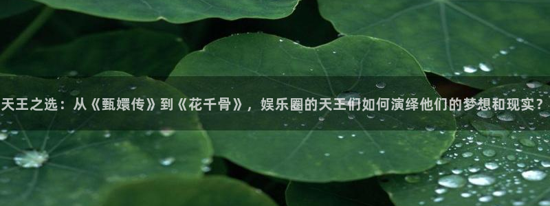 辉达娱乐2官网：天王之选：从《甄嬛传》到《花千骨》，娱乐圈的天王们如何演绎他们的梦想和现实？