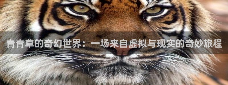 辉达娱乐账号注册：青青草的奇幻世界：一场来自虚拟与现实的奇妙旅程